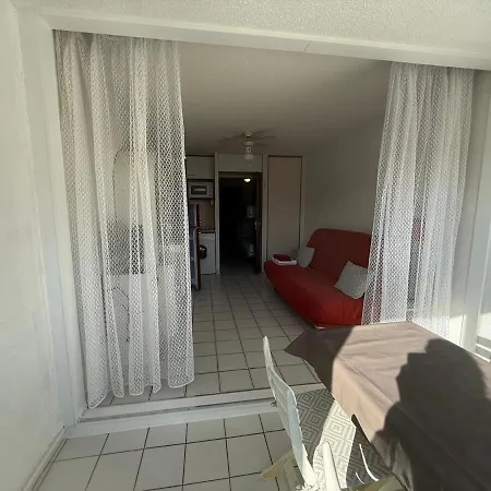 Piscine Park Privatif Dans Res Securisee Apartment Argeles-sur-Mer