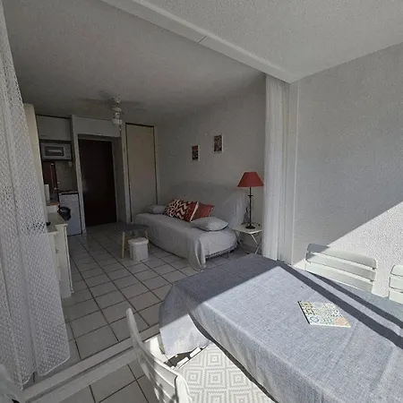 Piscine Park Privatif Dans Res Securisee Apartment